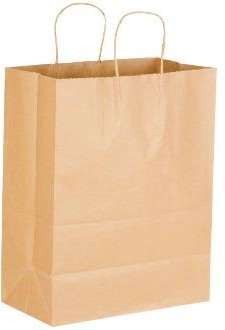 Hanger Bag (Large)- 250/cs